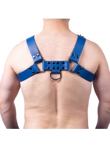 Image of Blue Buckle Leather Harness by The RED