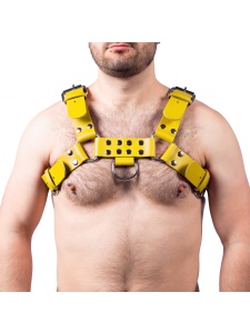 Image of THE RED Buckle yellow leather harness