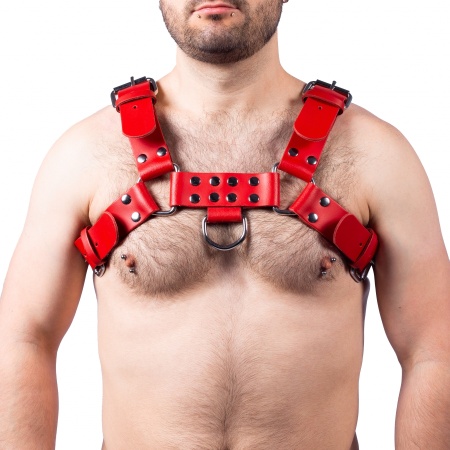Immagine dell'imbracatura in pelle con fibbia rossa di The RED, accessorio SM