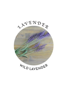 Lavender 3 in 1 Massage Candle - organic and vegan product by Earthly Body