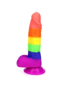 Immagine del dildo in silicone Rainbow Ø 4cm