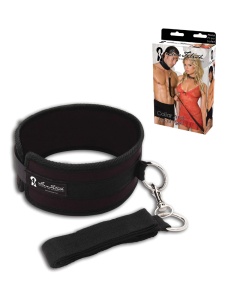 Lux Fetish BDSM collar with lead
