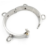 Bild des aufregenden BDSM-Halsbands aus Stahl Kiotos