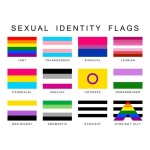 Image of an LGBT Rainbow pride pin