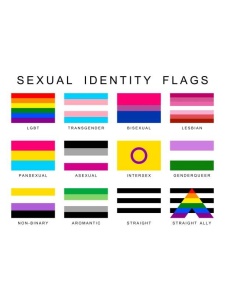 Immagine di una spilla dell'orgoglio LGBT Rainbow
