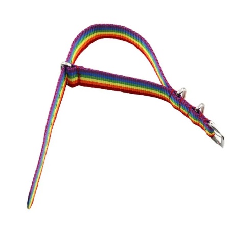 Image of the LGBT Rainbow Bracelet to express your pride