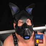 Immagine della maschera di cuoio canino Premium Blue PUPPY