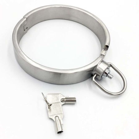580g Metal BDSM Necklace with Lock