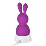 Violet Mini Rabbit Vibrator by FemmeFunn for intense pleasure