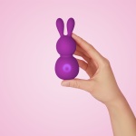 Violet Mini Rabbit Vibrator by FemmeFunn for intense pleasure