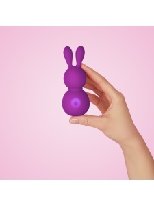 Mini vibratore rabbit viola di FemmeFunn per un piacere intenso