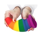 Immagine del LoveToy Prider Rainbow Anal Plug multicolore