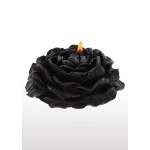 Deux bougies de massage Taboom, une rose/noire et une rose/bordeaux