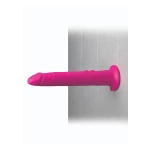 Image du Gode Vibrant Wall Banger de Pipedream, un dildo sextoy réaliste