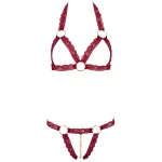 Image of the Cottelli sexy lingerie set in red