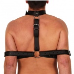 The Red Leather Restraint Harness for intense BDSM games
