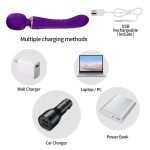 Char Lemagne Wand Massager