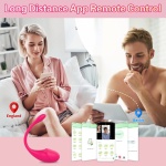 Vibratore collegato all'uovo da viaggio
