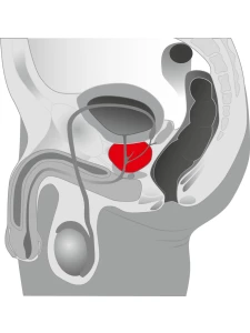 Stimolatore della prostata Twister