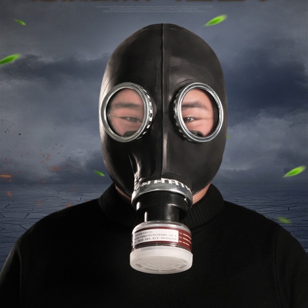 Image du Masque à Gaz Luxueux avec Filtre de Haute Qualité