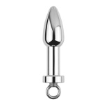 Image of the Stainless Steel Hollow Anal Plug