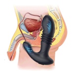 Bild des Vibrators zur Prostatastimulation mit Schubkraft