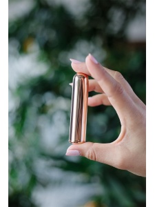 Vibromasseur Mini Le Wand Bullet en rose