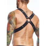 Homme et femme portant l'Harnais DNGEON X de luxe